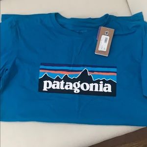 NWT Boys Patagonia T-Shirt XL 14